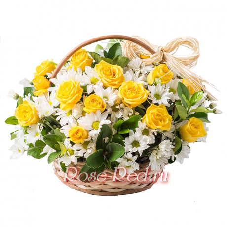 Радостные впечатления