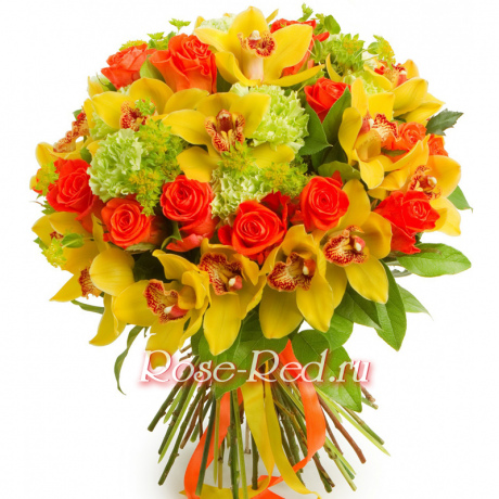 Янтарный луч рассвета