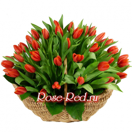 Красавица весна