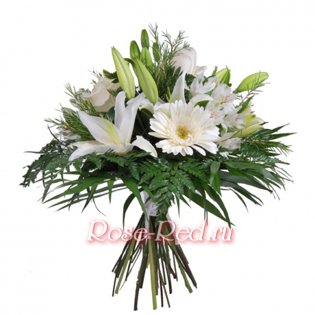 Свежесть утра. Белые цветы с зеленью