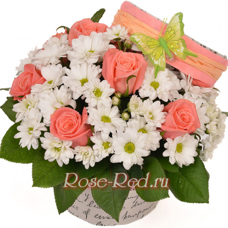 Аристократка