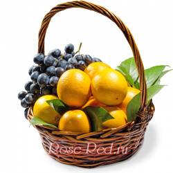 Солнечные витамины