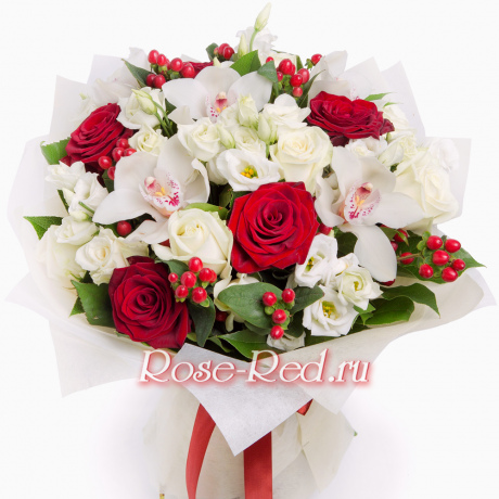 Крылатые ласточки