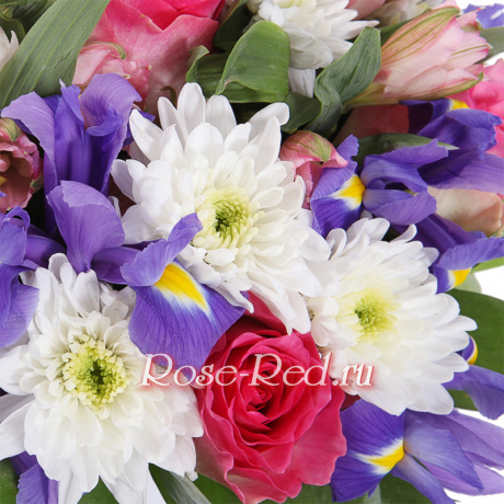 Лазурный мотылек