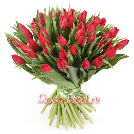 Букет 45 красных тюльпанов
