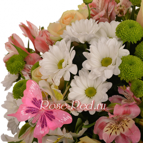 Летнее настроение