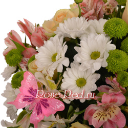 Летнее настроение