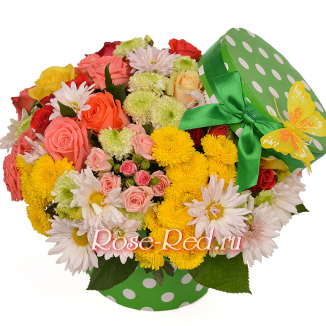 Стильная дамочка