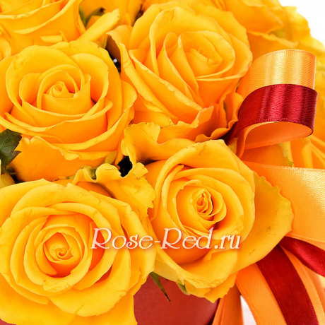 Медовая любовь