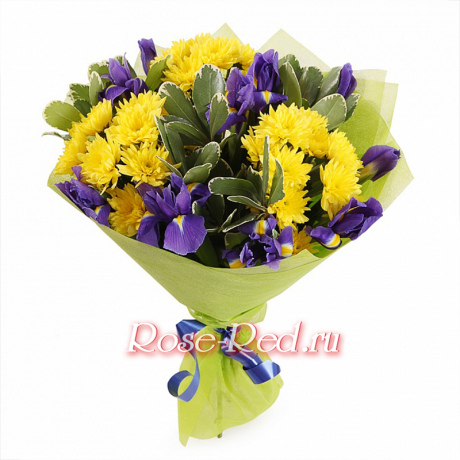 Море позитива