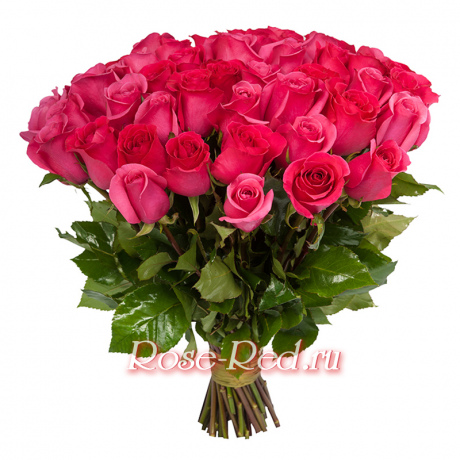 Малиновый звон