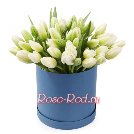 Искренность