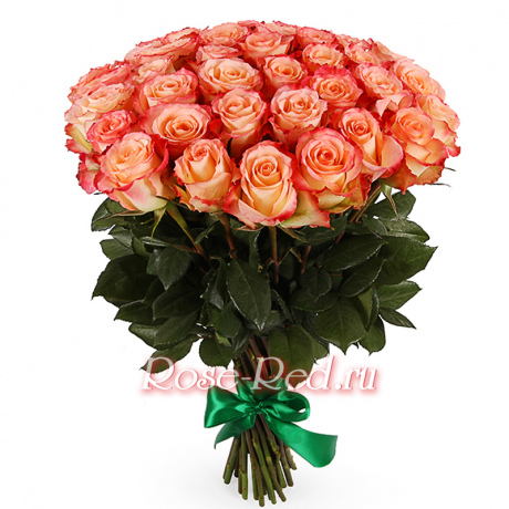 Цветущая любовь