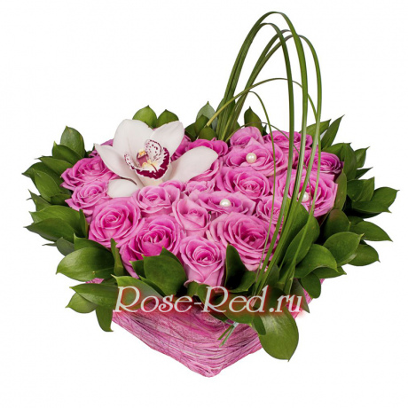 Розовый сон