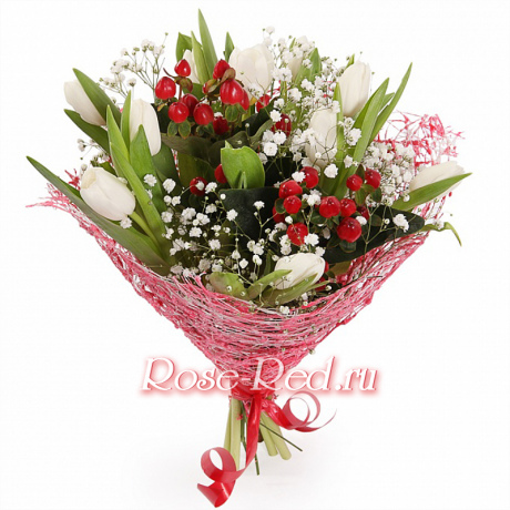 Рябина на снегу