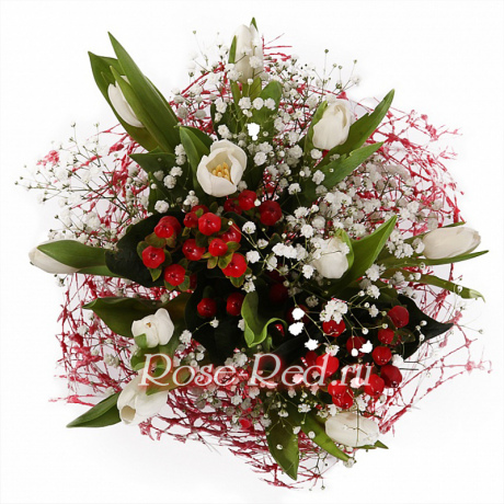 Рябина на снегу