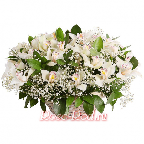 Сказочный мир