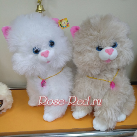 Малышка Кошечка