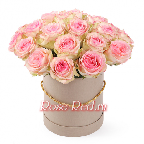 Притяжение любви