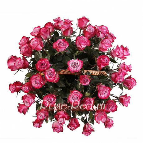 Изысканная роскошь