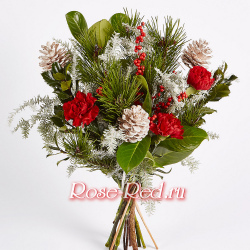 Красавица зима