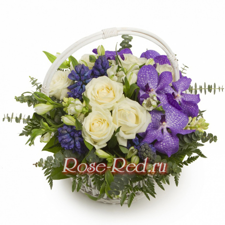 Королева цветов