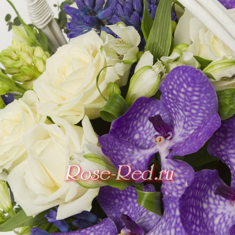 Королева цветов