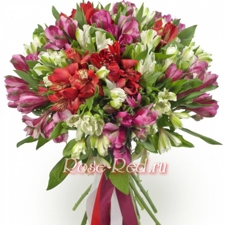 Красавица моя