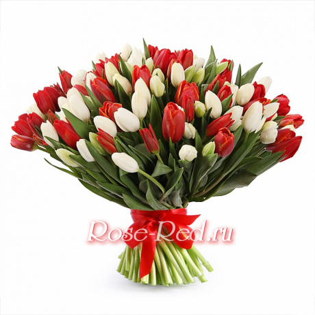 Белое солнце