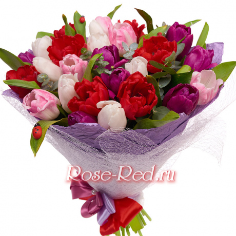 Яркие впечатления