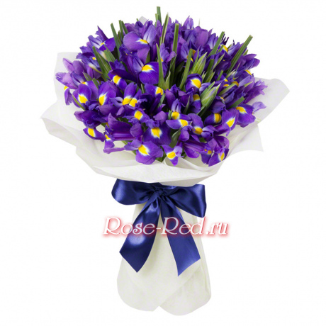 Радужные мечты