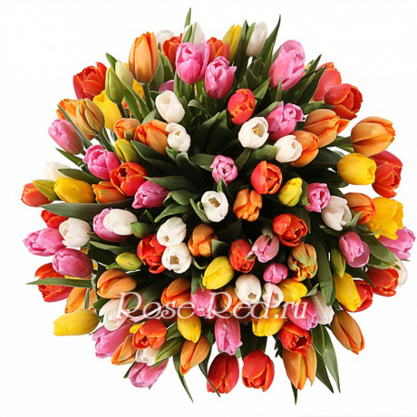 Счастливая весна