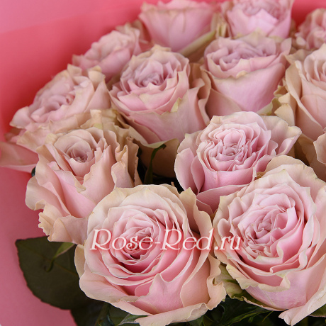 Элегантный розовый